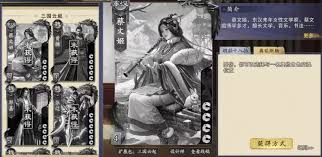 代号杀蔡文姬厉害吗