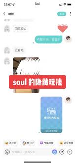 soul隐身会员别人能看到吗