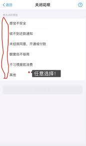 花呗如何永久停用