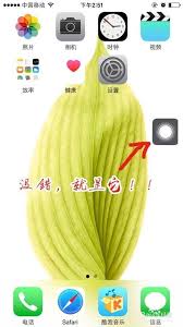苹果13如何开启圆点键功能