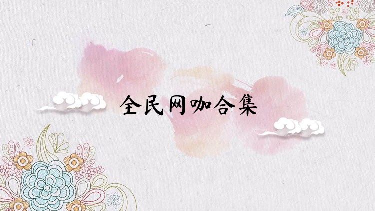 全民网咖合集