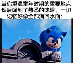 那很有生活了梗是什么意思