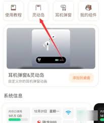 苹果灵动岛功能如何设置技巧