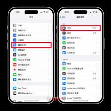 iPhone项目旁白声音开启方法
