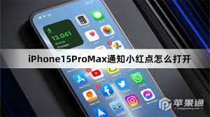 如何打开iPhone15Pro通知小红点