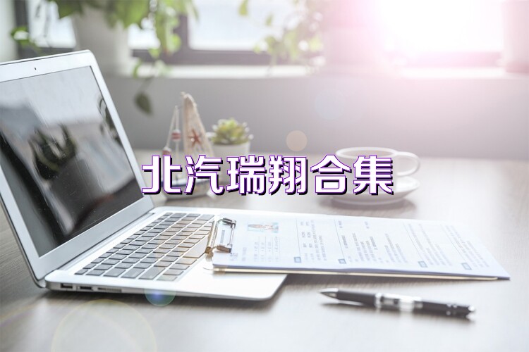 北汽瑞翔合集
