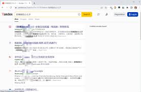 俄罗斯搜索引擎入口官网地址是什么