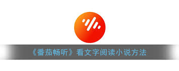 番茄畅听如何查看文字