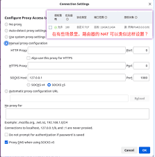 火狐浏览器怎样用ss5代理