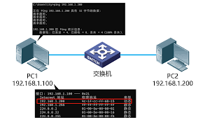 netcfg.hlp文件丢失连不上网619怎么办