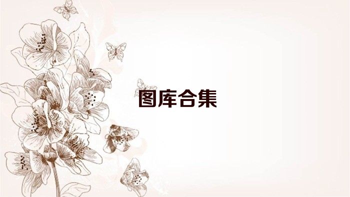 图库合集