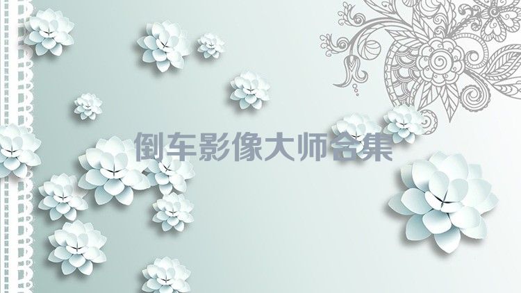 倒车影像大师合集