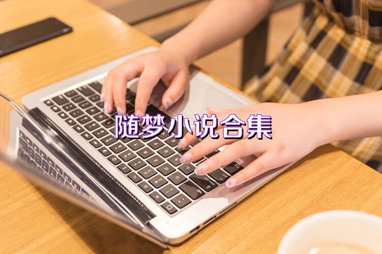 随梦小说合集
