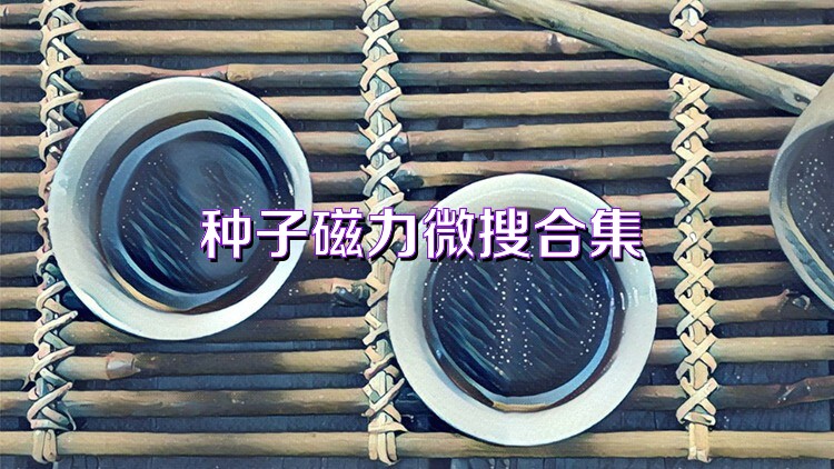 种子磁力微搜合集