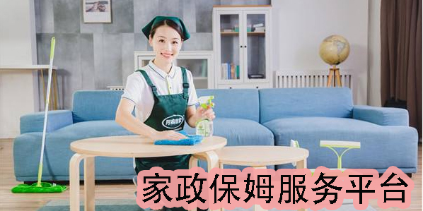 家政保洁