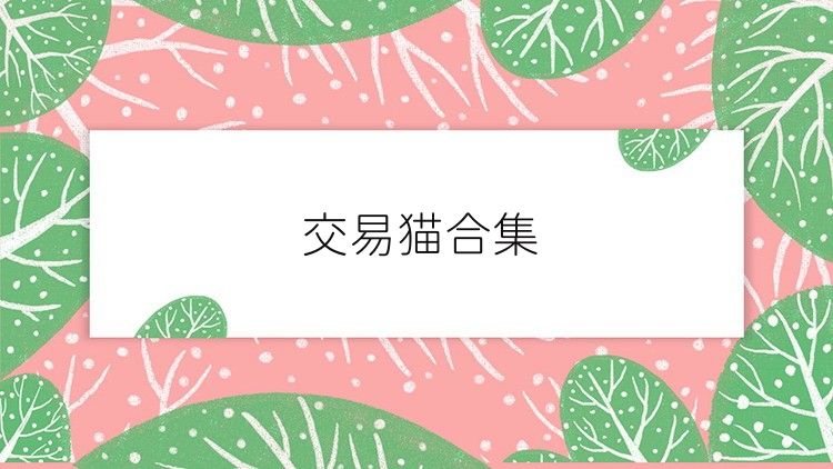 交易猫合集