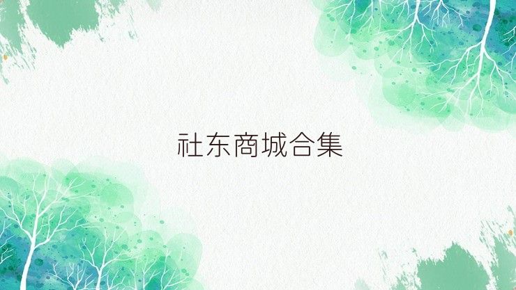 社东商城合集