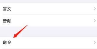 iPhone直通手势旁白触感在哪开启