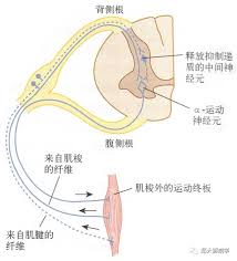 无人异常反射位置在哪里