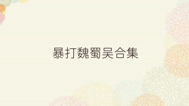 暴打魏蜀吴合集