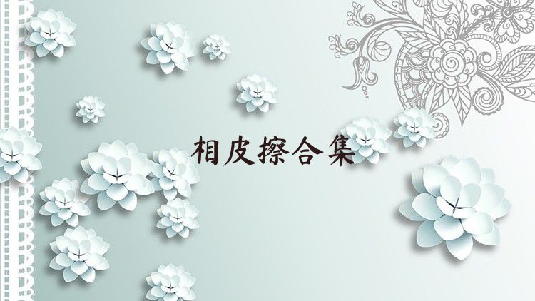 相皮擦合集