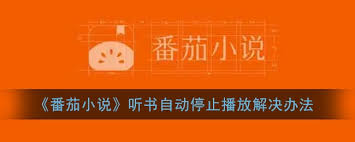 番茄小说听书频繁卡顿