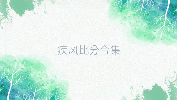 疾风比分合集