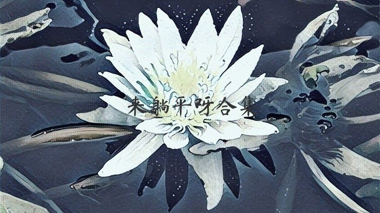 来躺平呀合集