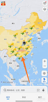 高德地图如何设置稻穗
