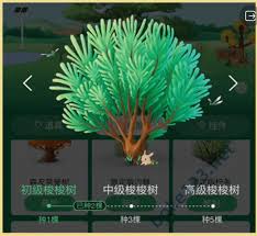 蚂蚁森林如何获取永久树木皮肤