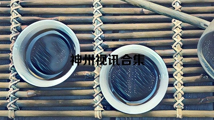 神州视讯合集