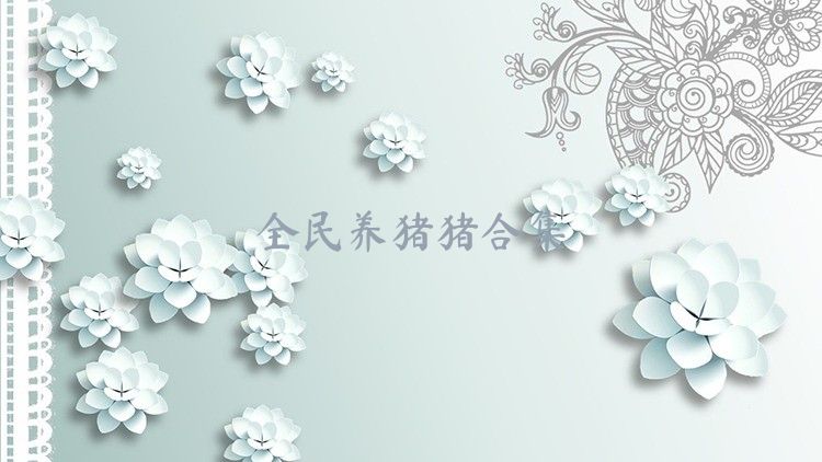 全民养猪猪合集