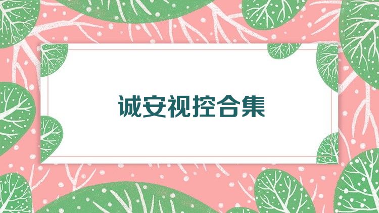诚安视控合集