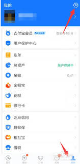 支付宝如何关闭陌陌自动续费
