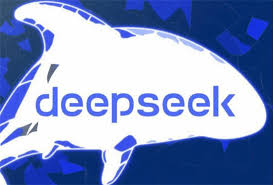 deepseek网页版与本地部署有何不同