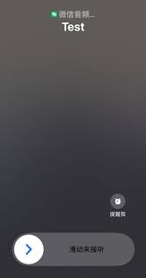 如何在iPhone上启用CallKit功能