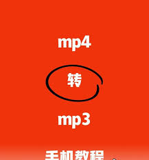 免费视频转换器如何实现MP4格式全面解析