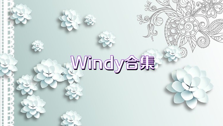 Windy合集