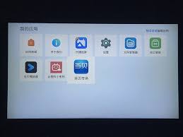 坚果j10能不能下载app