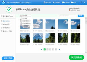 如何恢复iPhone中已删除的照片和视频