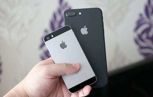 iPhone14为何依然备受欢迎