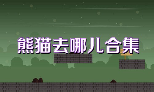 熊猫去哪儿合集