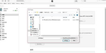 苹果系统如何降级