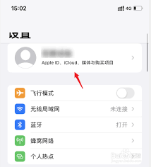 icloud自动续费怎么取消