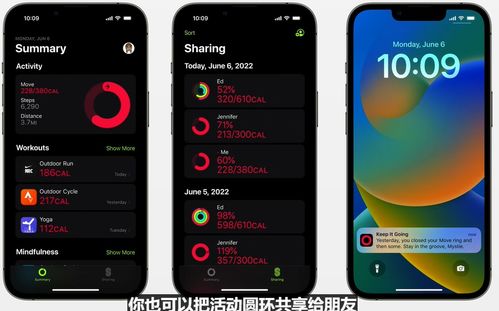iPhone用户必看：如何安装iOS16公测版