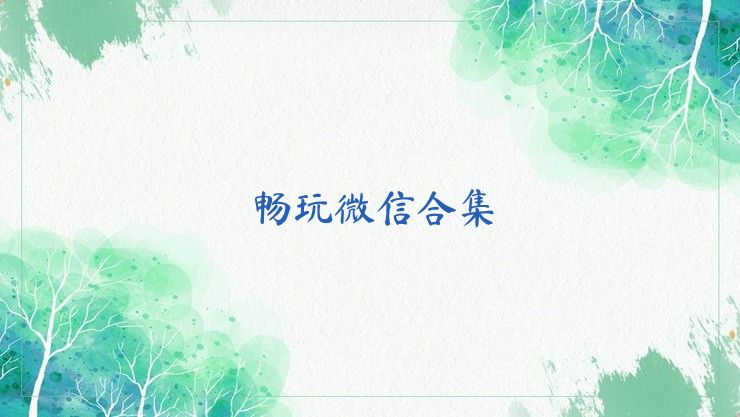 畅玩微信合集
