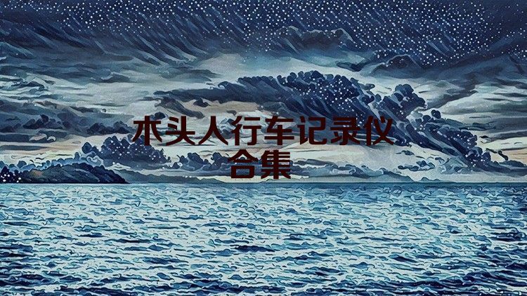 木头人行车记录仪合集