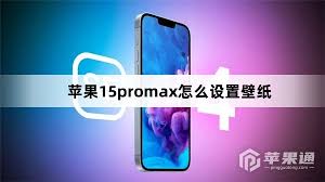 苹果15壁纸设置指南