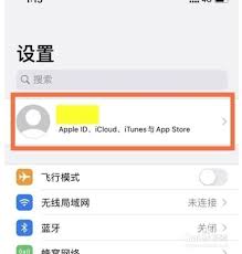 苹果手机不用了如何取消自动续费