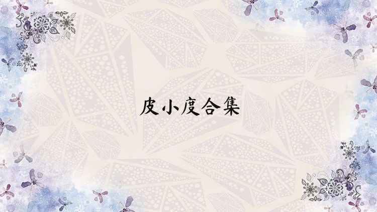 皮小度合集